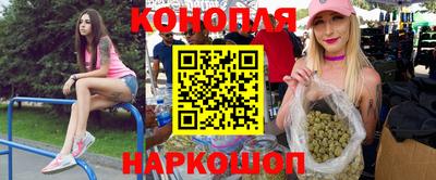 Альфа ПВП Моздок
