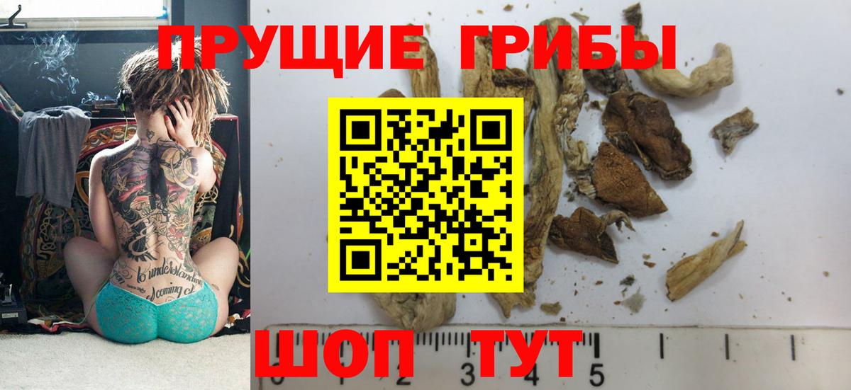 Галлюциногенные грибы MAGIC MUSHROOMS Сыктывкар