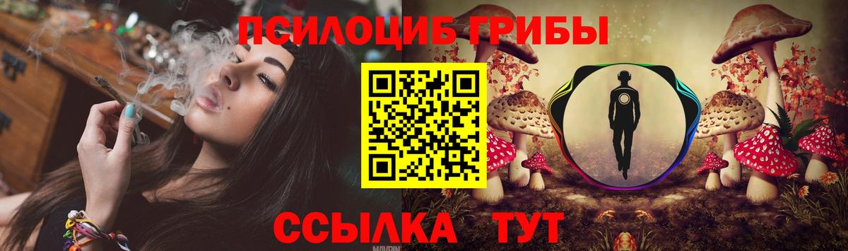 Сыктывкар  где продают наркотики  Вход с VPN  Галлюциногенные грибы MAGIC MUSHROOMS 