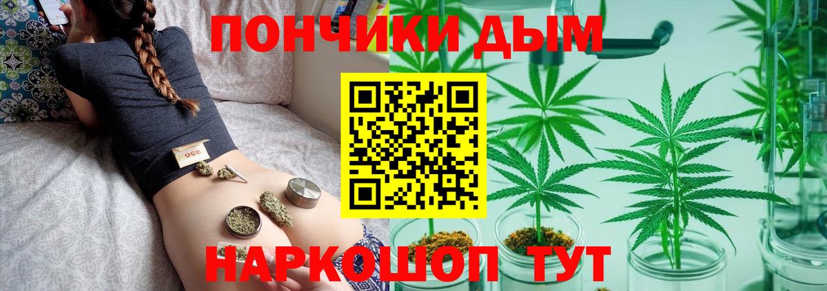Сыктывкар  Бошки Шишки тримм  Шишки марихуана AK-47  Вход с VPN 